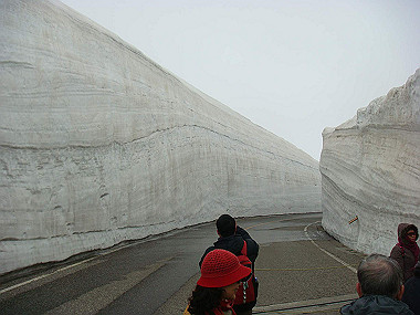 20090516_dsc07027_thumb.jpg