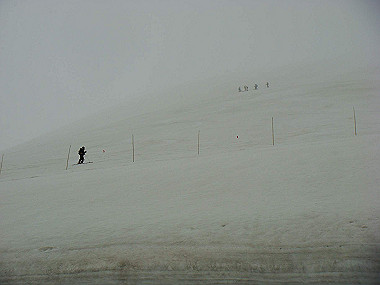 20090516_dsc07035_thumb.jpg