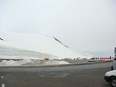 20090516_dsc07043_thumb.jpg