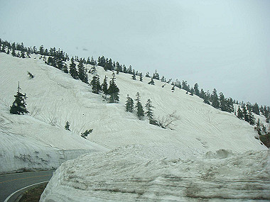 20090516_dsc07054_thumb.jpg
