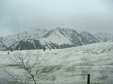 20090516_dsc07055_thumb.jpg