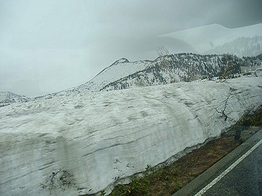 20090516_dsc07057_thumb.jpg