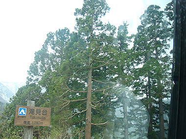 20090516_dsc07060_thumb.jpg