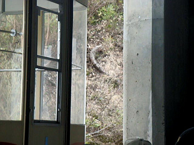 20090516_mov06988.mpg_snapshot_00.00_thumb.jpg