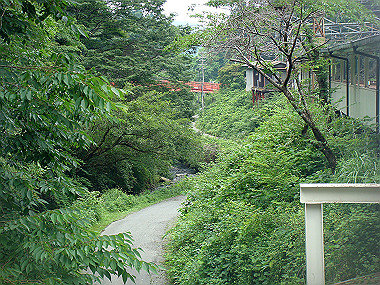 20090705_dsc00001_thumb.jpg