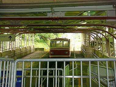 20090705_dsc00002_thumb.jpg