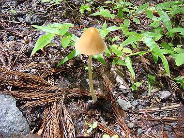 20090705_dsc00009_thumb.jpg