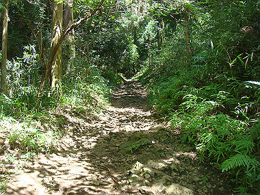 20090812_dsc000010_thumb.jpg