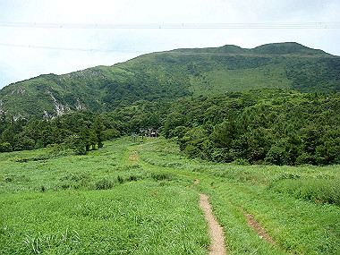 20090812_dsc000017_thumb.jpg