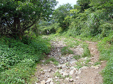 20090812_dsc000023_thumb.jpg