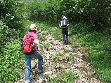20090812_dsc000024_thumb.jpg