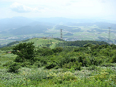 20090812_dsc000029_thumb.jpg