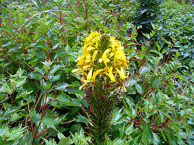 20090812_dsc000030_thumb.jpg