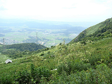 20090812_dsc000032_thumb.jpg