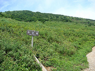 20090812_dsc000041_thumb.jpg