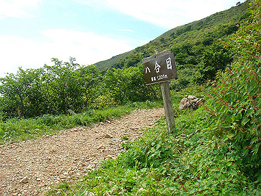 20090812_dsc000044_thumb.jpg