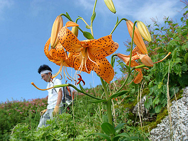 20090812_dsc000052_thumb.jpg