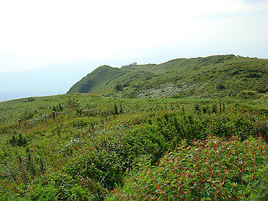 20090812_dsc000075_thumb.jpg