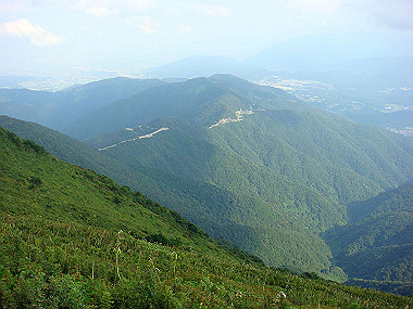 20090812_dsc000076_thumb.jpg