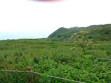 20090812_dsc000081_thumb.jpg