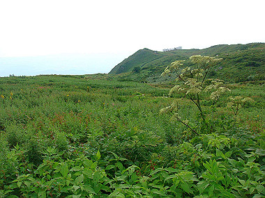 20090812_dsc000082_thumb.jpg