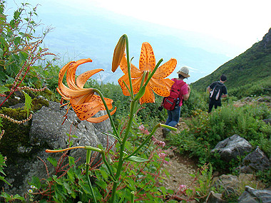 20090812_dsc000095_thumb.jpg