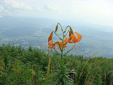 20090812_dsc000096_thumb.jpg