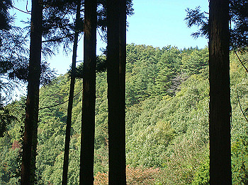 dsc00078_thumb.jpg