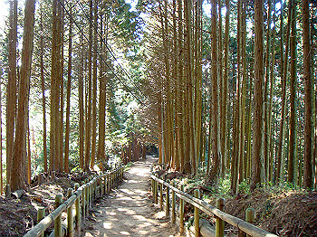 dsc00080_thumb.jpg