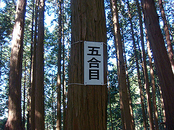 dsc00085_thumb.jpg
