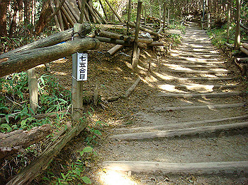 dsc00089_thumb.jpg