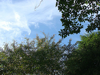 dsc00093_thumb.jpg