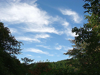 dsc00094_thumb.jpg