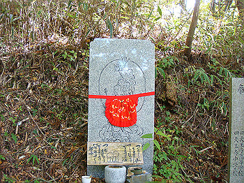 dsc00099_thumb.jpg