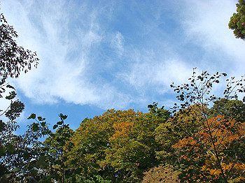 dsc00108_thumb.jpg