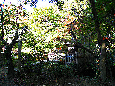 20091104_rin_0376_thumb.jpg
