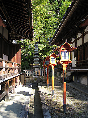 20091104_rin_0385_thumb.jpg