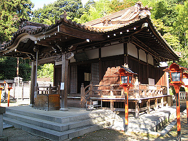 20091104_rin_0386_thumb.jpg