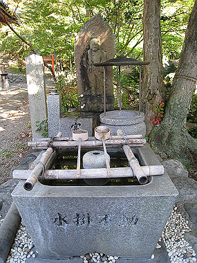 20091104_rin_0388_thumb.jpg