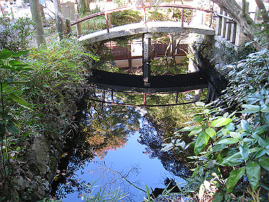 20091104_rin_0389_thumb.jpg