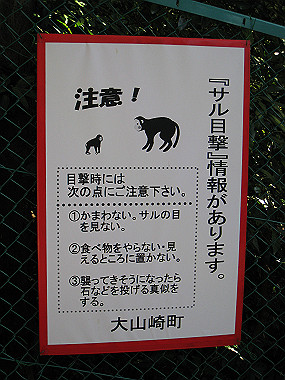 20091104_rin_0391_thumb.jpg