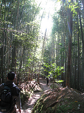 20091104_rin_0417_thumb.jpg