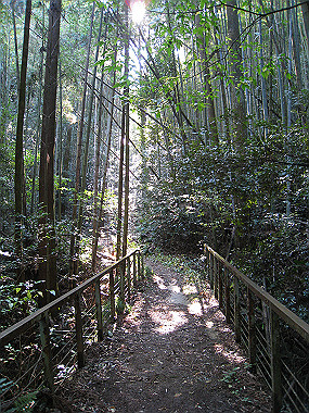 20091104_rin_0422_thumb.jpg