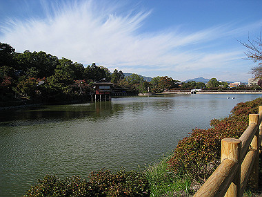 20091104_rin_0431_thumb.jpg