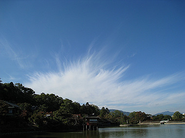 20091104_rin_0432_thumb.jpg