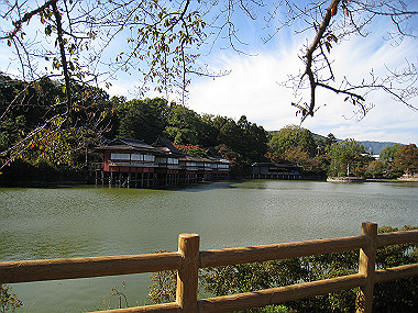20091104_rin_0434_thumb.jpg