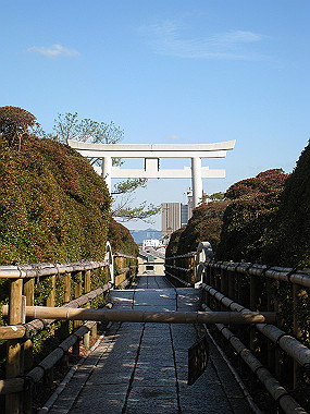 20091104_rin_0438_thumb.jpg