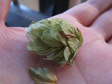 20091104_rin_0446_thumb.jpg