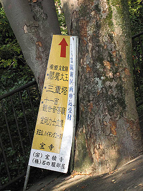 20091104_tei_0281_thumb.jpg
