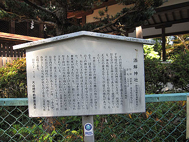 20091104_tei_0312_thumb.jpg
